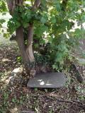 image of grave number 417020